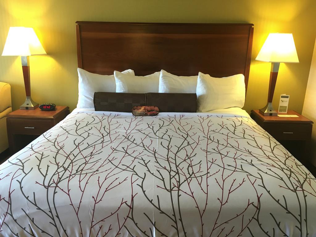 Executive Inn By The Space Needle Seattle Luaran gambar